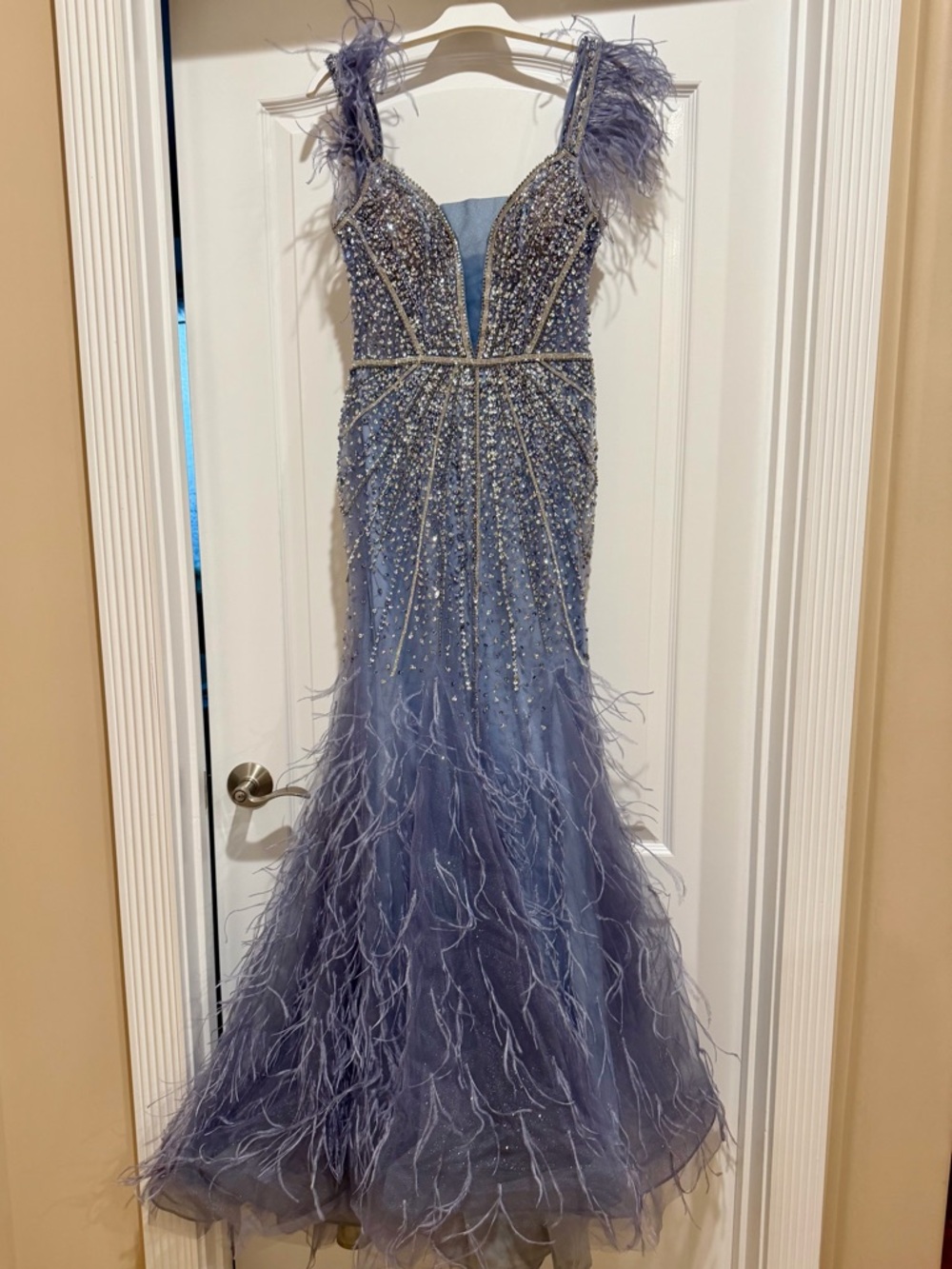 Embellished Feathered Evening Gown in Dusty Lavender